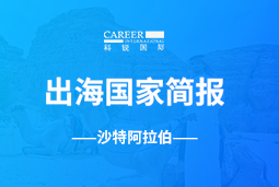 维多利亚老品牌VICGO GLOBAL | 沙特阿拉伯国家简报